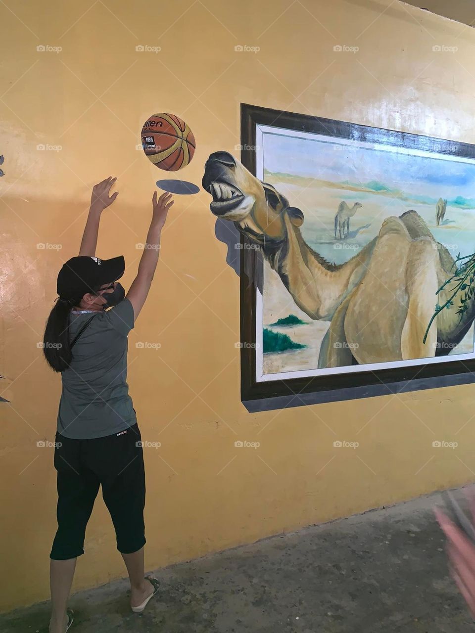3D Camel painting with frame