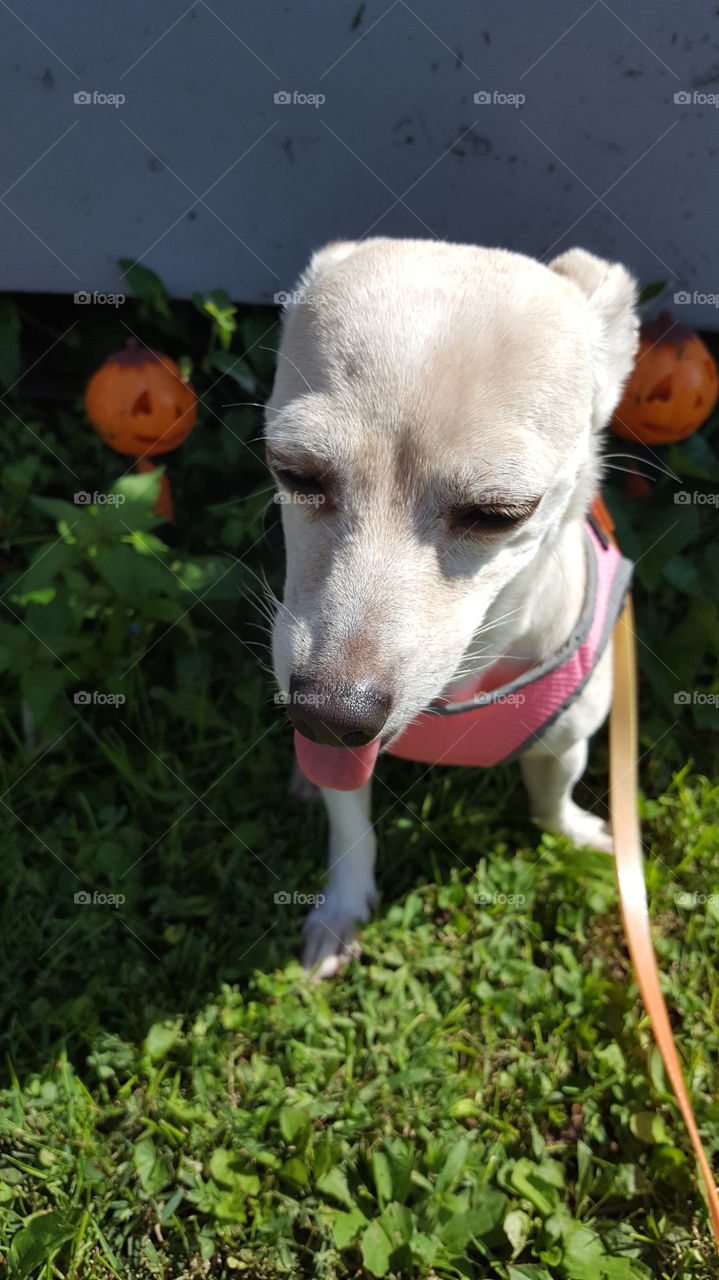 Enjoying fresh summer air