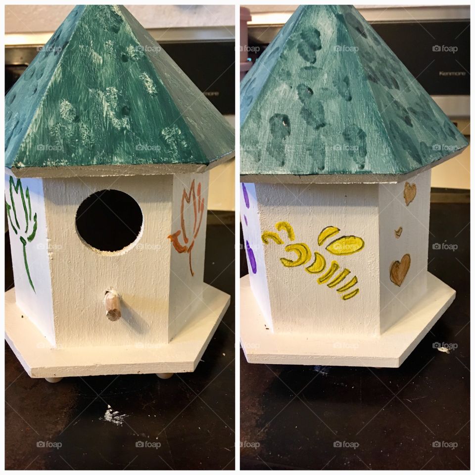 Welcome home little birdies, freshly painted and decorated just for you. Home sweet home.