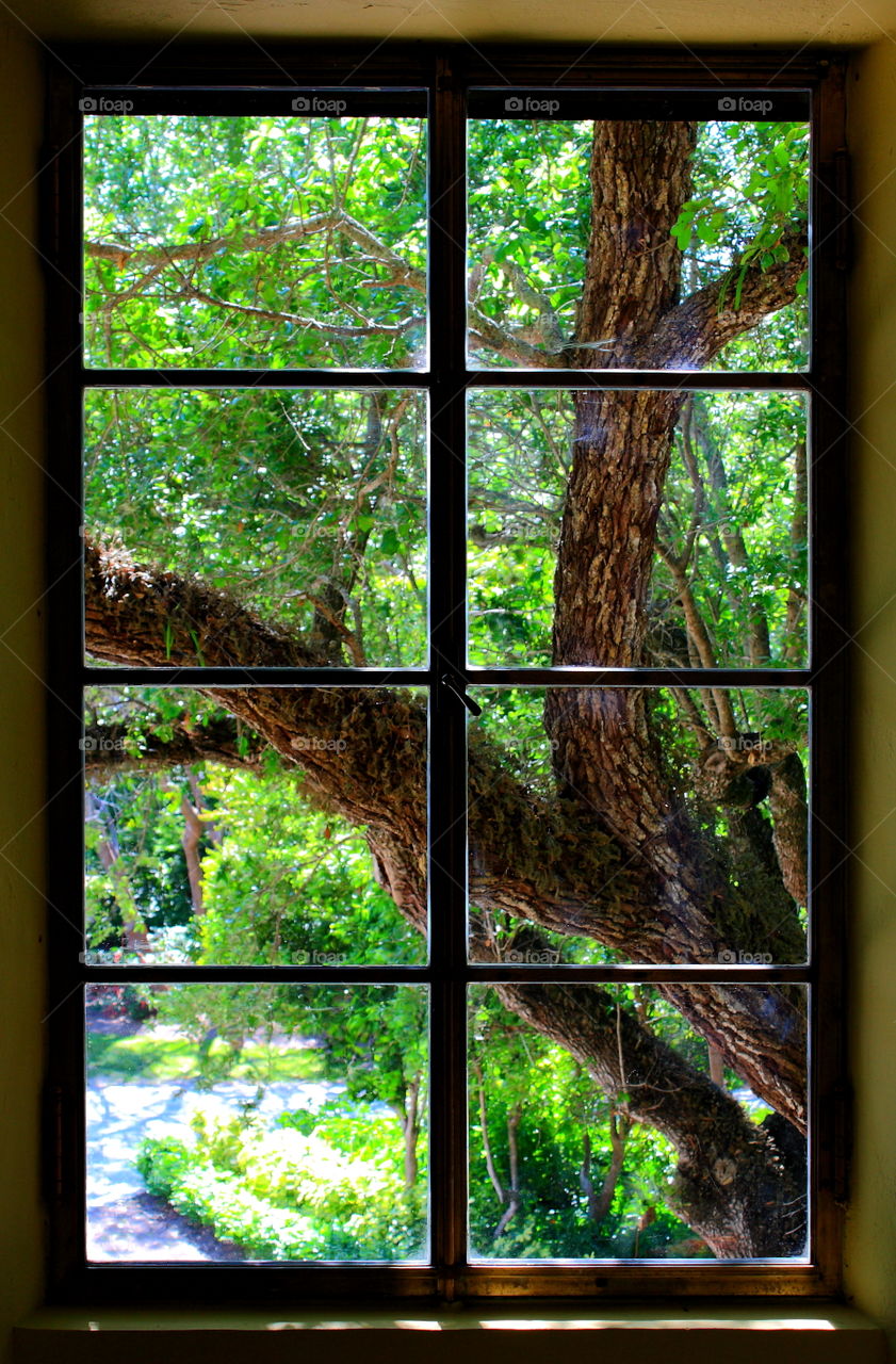 window from the inside looking out