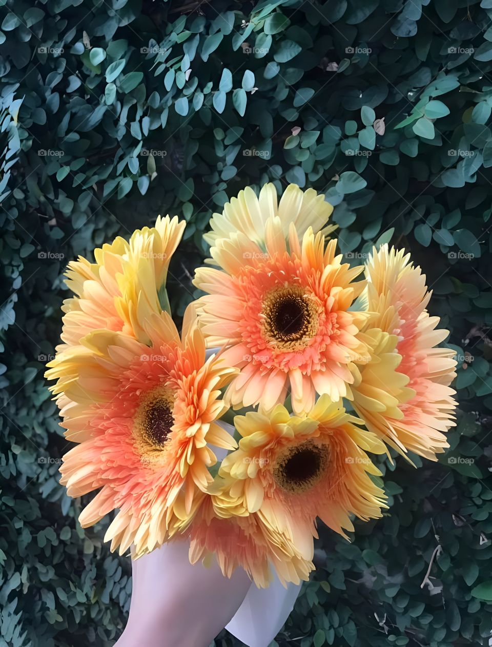 bunch of flower orange color in the garden