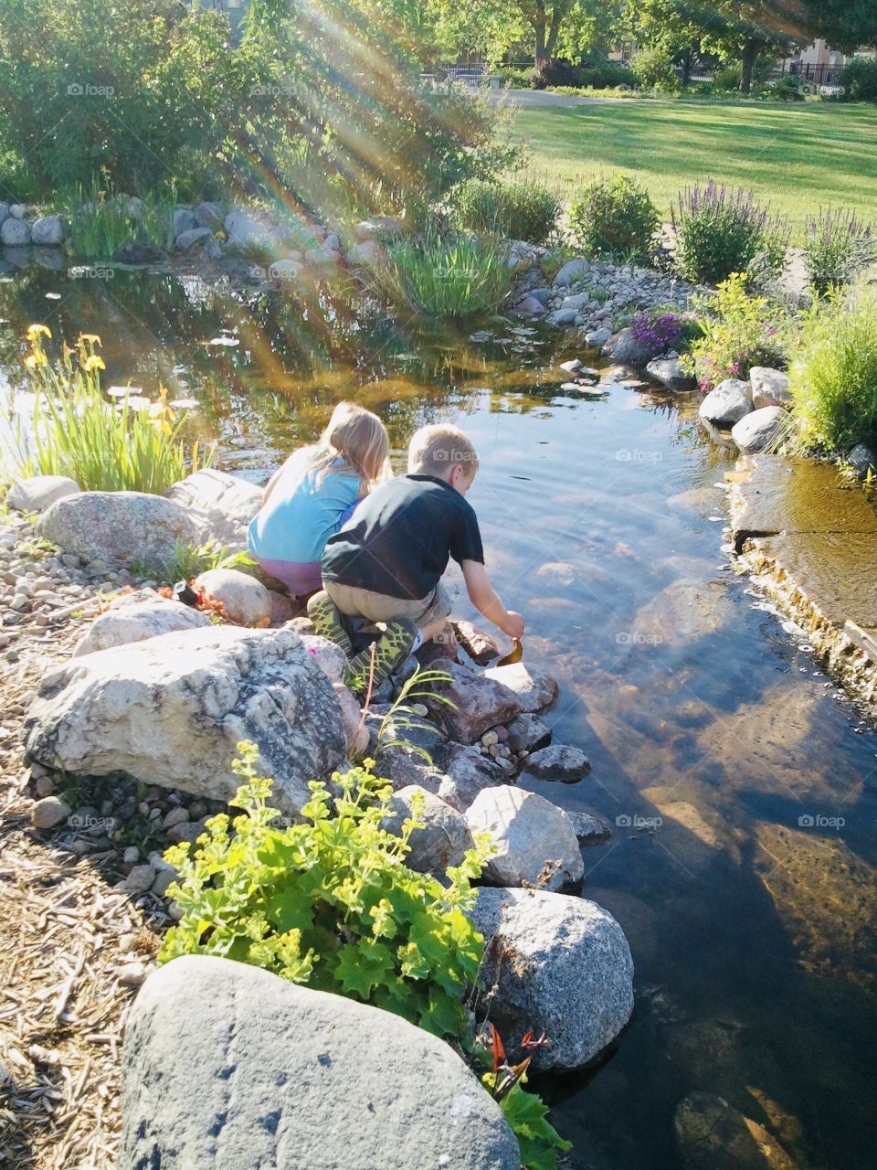 Beautiful photo of children looking in a pond for fish and frogs while the sun is setting!! 