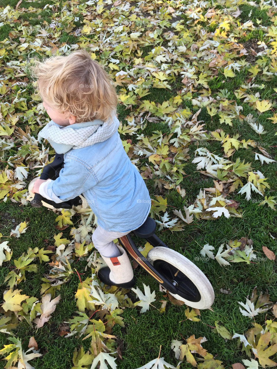 Litte boy riding his bike through autumn leafs