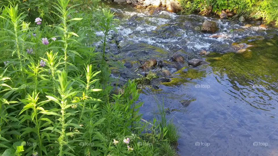 Stream