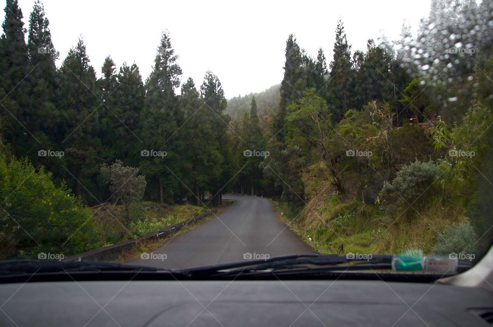 Beautiful way to heaven