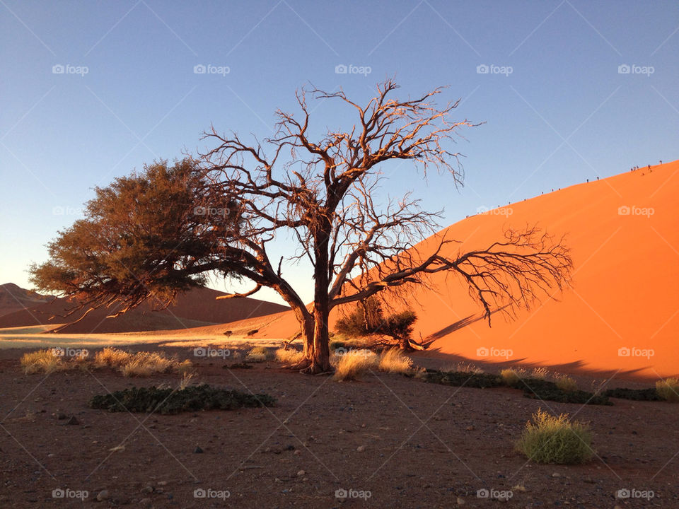 libya africa namibia dune45 by francescfabre