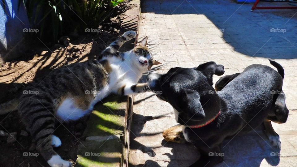 Oli y Lupe  // Nikon D3500