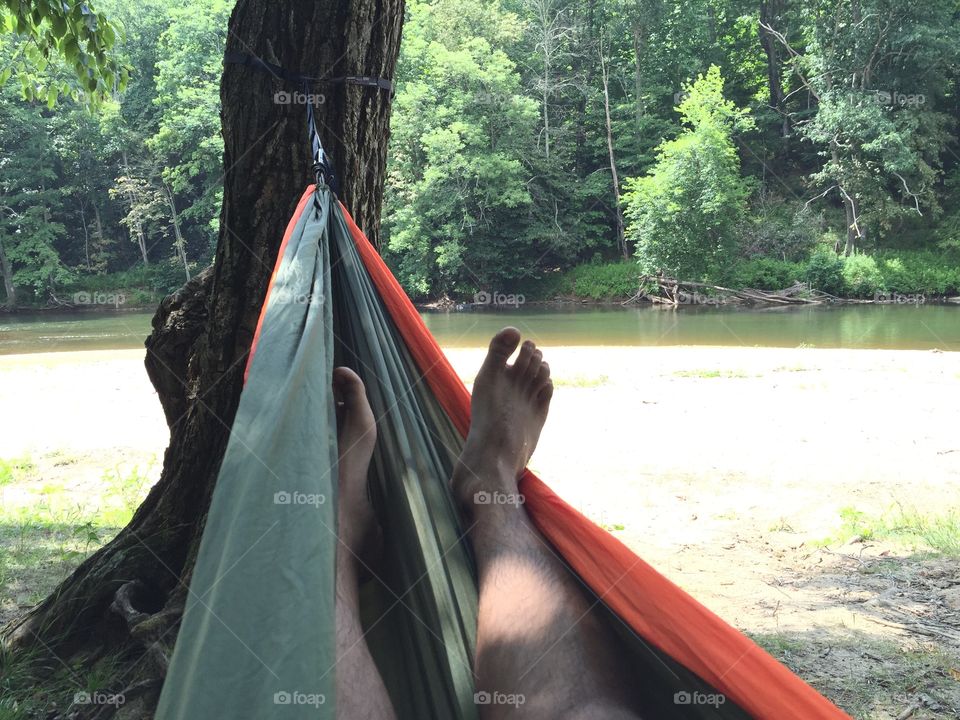 Nature, Outdoors, Travel, Wood, No Person