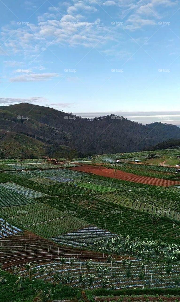 Dieng, central of java