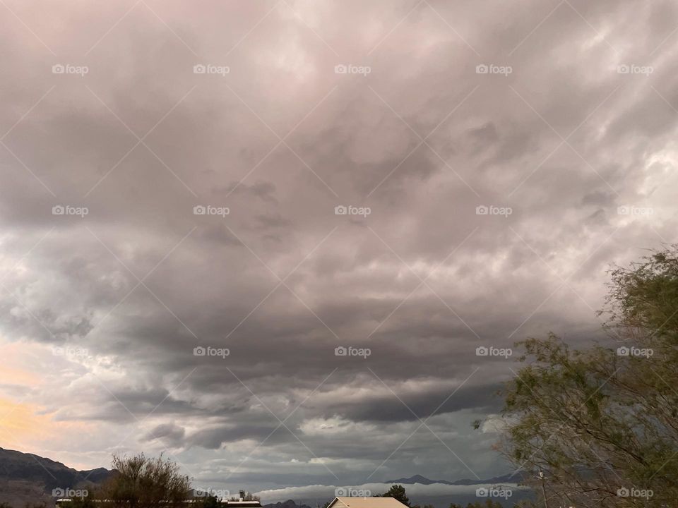 Light pink tinted clouds between two trees. 