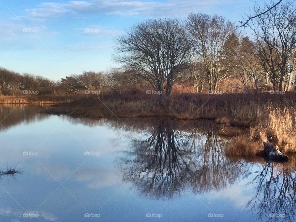 reflection