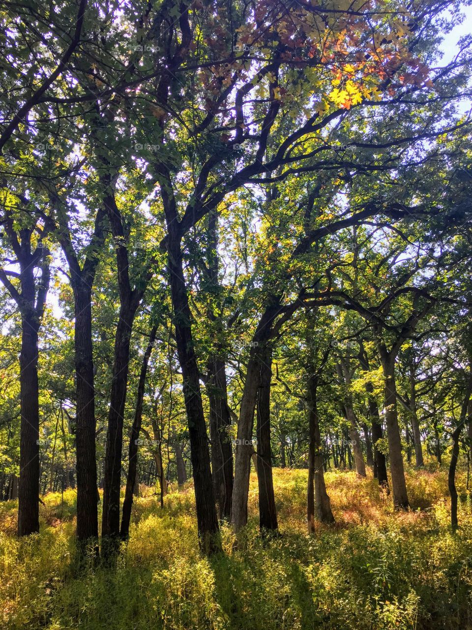 Hiking in Indiana 