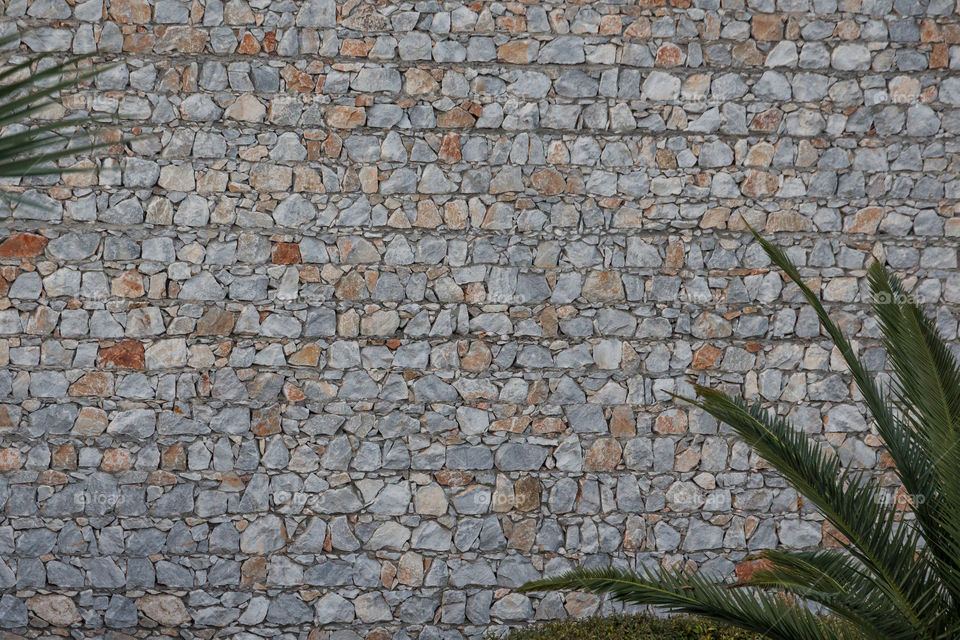 Symmetry in stone wall and palm leaves