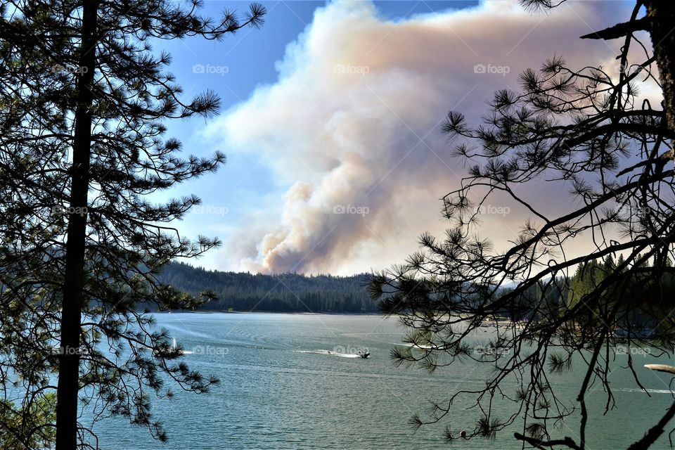 Wild fire in Bass lake woods