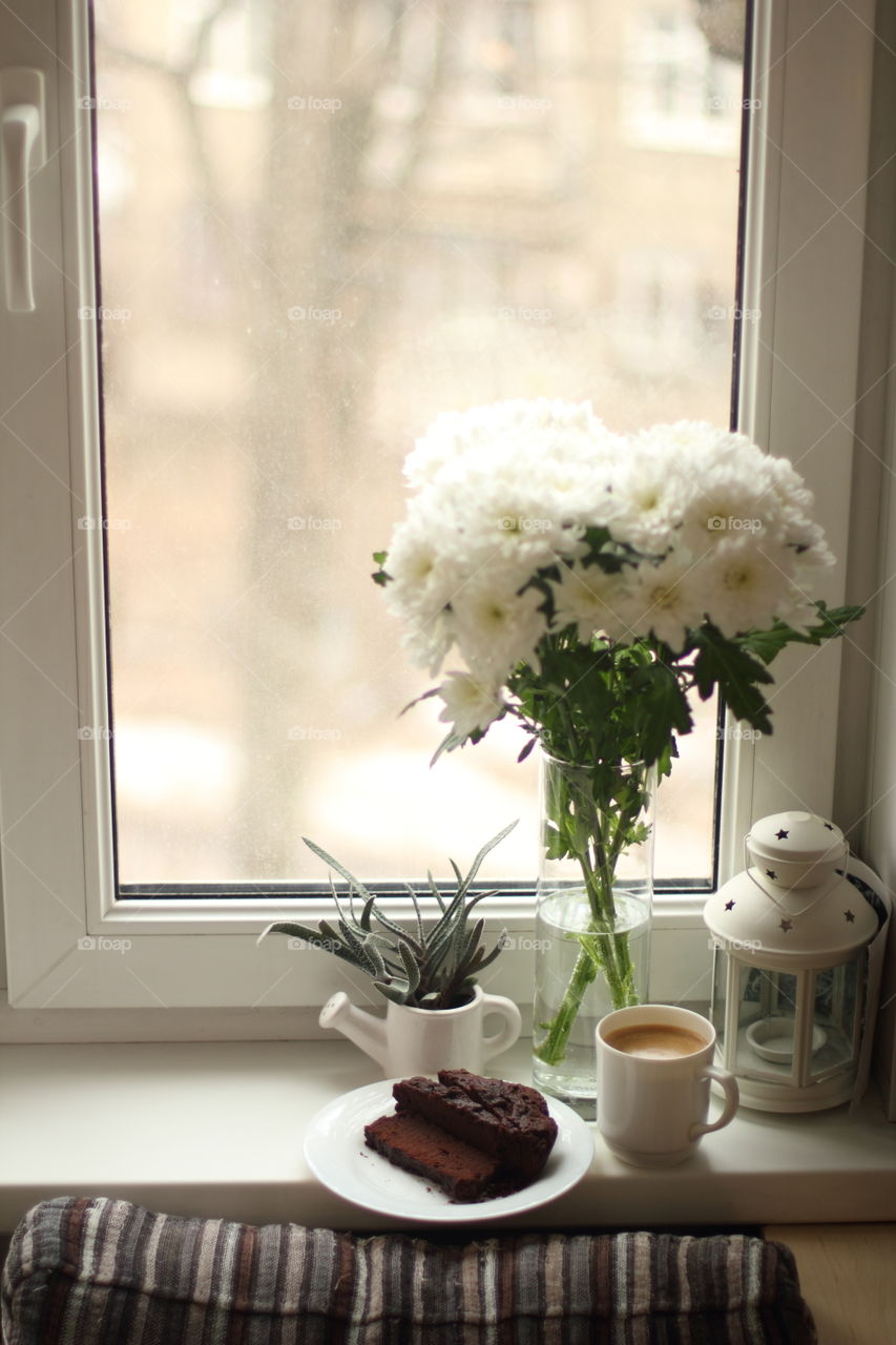 uncut brownie, coffee, succulent, bouquet, lamp