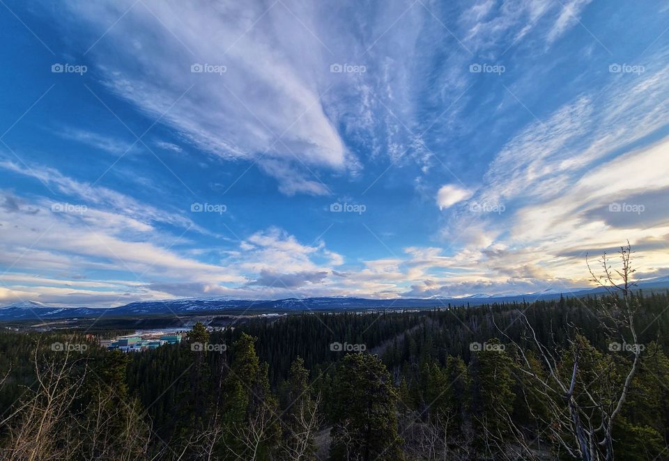 Big blue sky covered in white puffy clouds