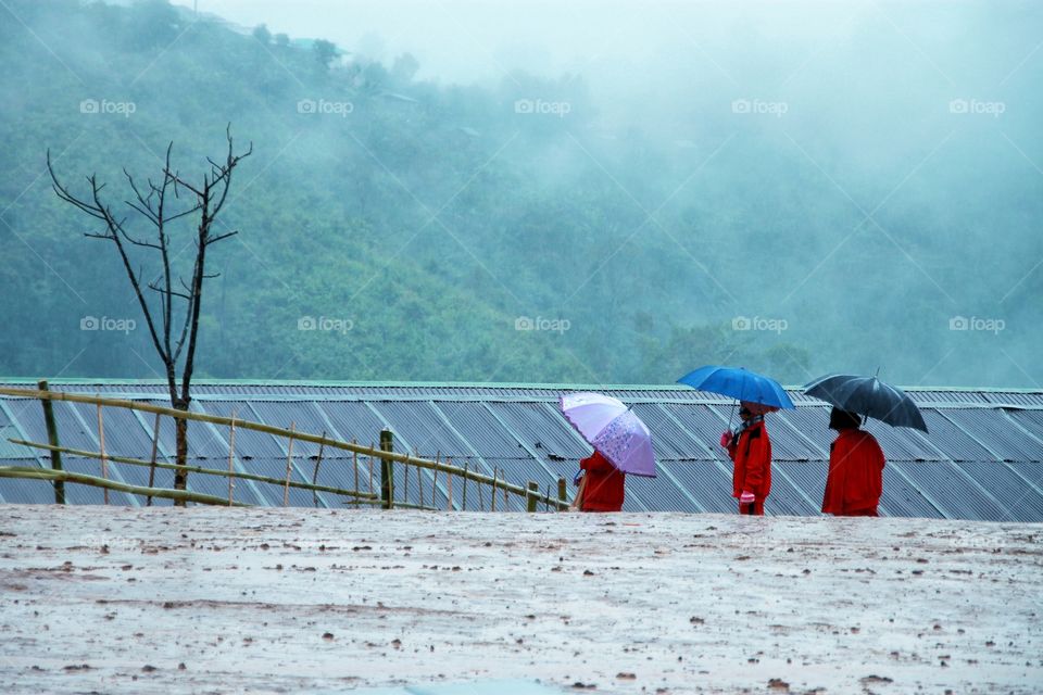 3 children standing in an umbrella to protect the rain  While the rain is still falling  In the midst of beautiful nature.