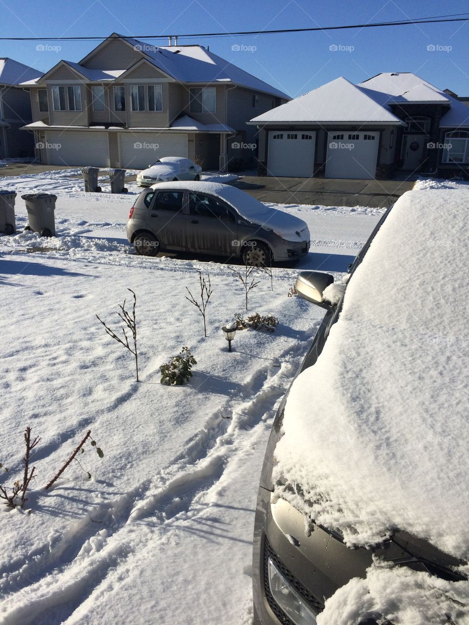 Morning after night snowfall! 