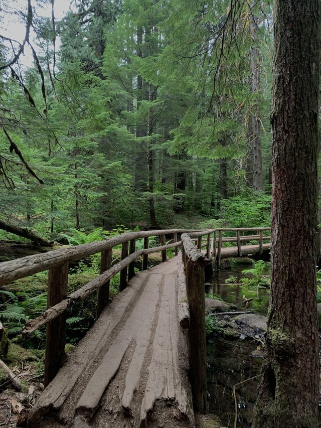 Wooden bridge in Oregon 