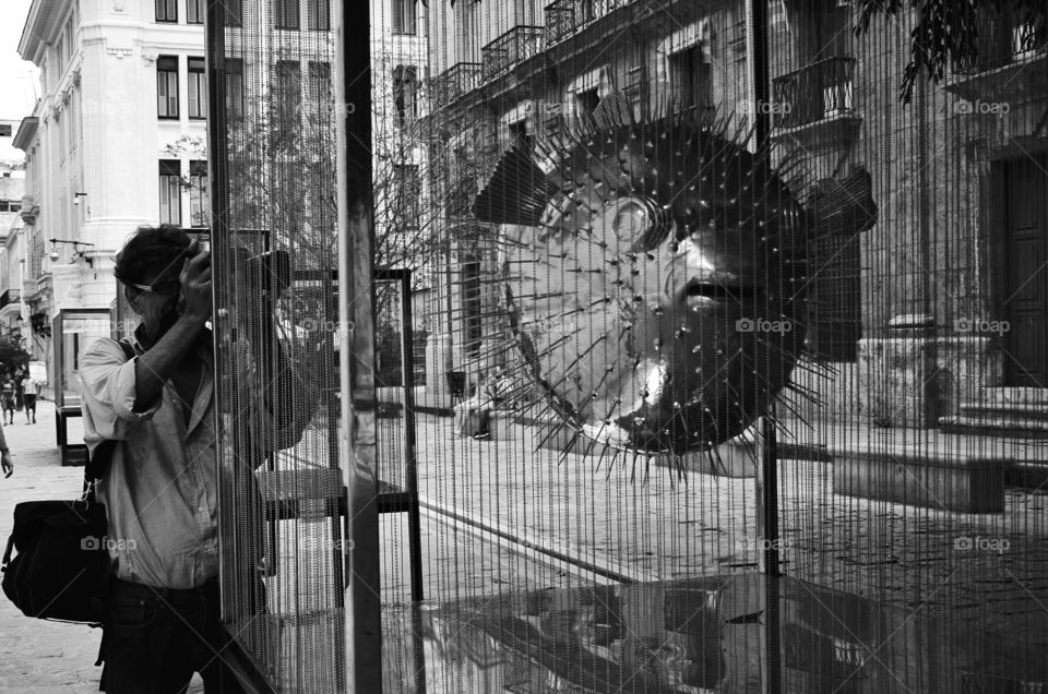 Exhibition of fish sculptures in metal in Havana