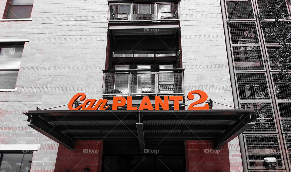 Can Plant 2