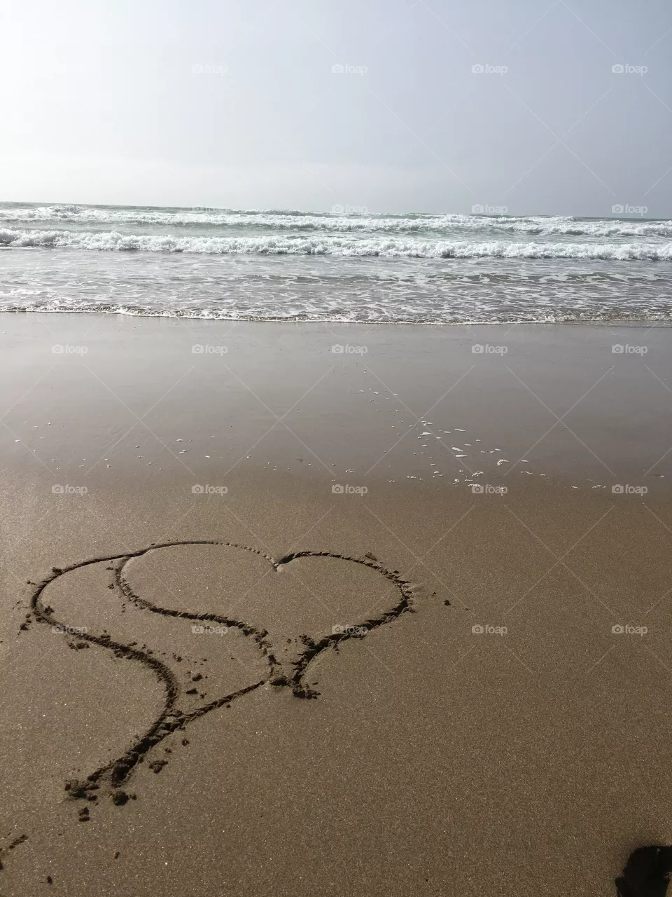 Love of the sea 