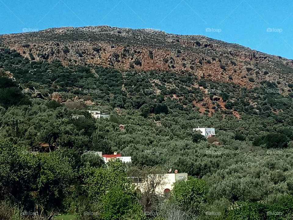 house's between the nature