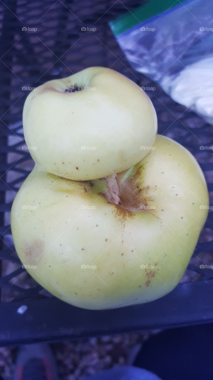 Double Growing Apple