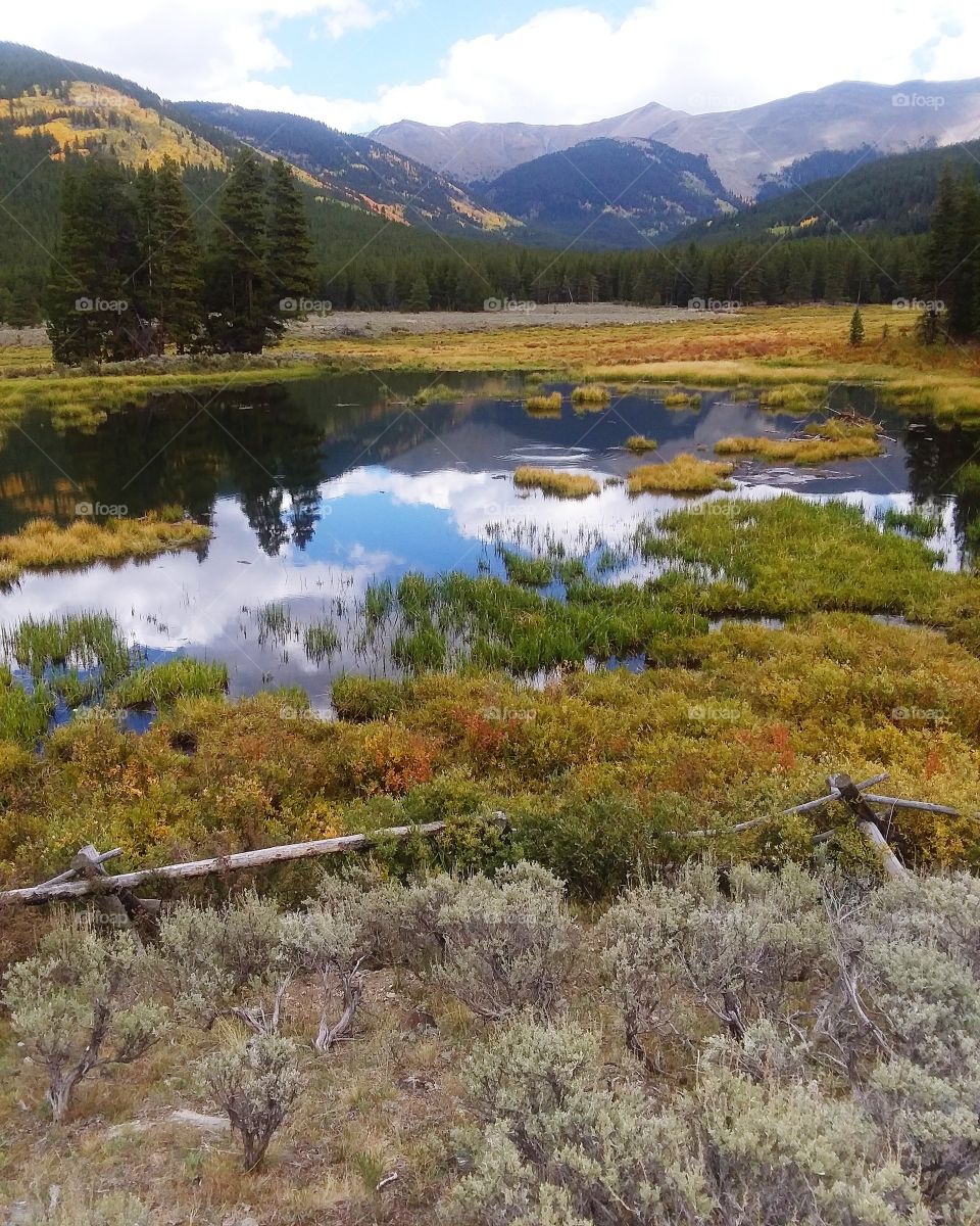 I love this time of year with the colors changing - Gunnison CO
