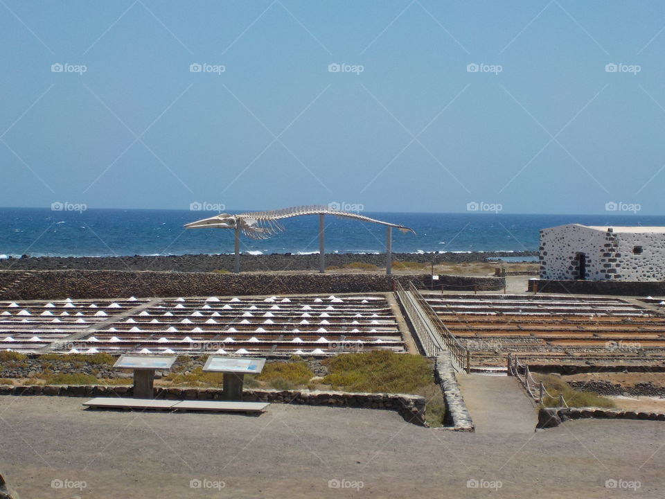 Sea salt in Fuerteventura - Canary Islands 