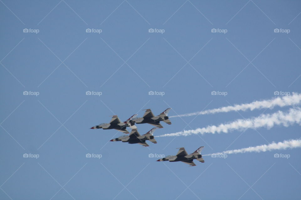 Flight, Bird, Airplane, Sky, Aircraft