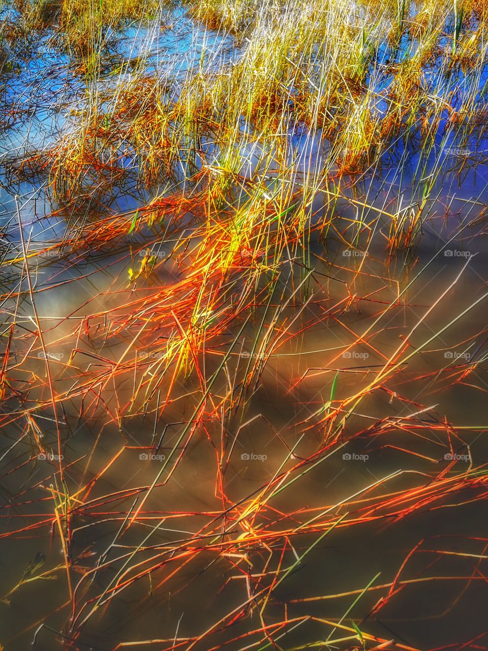 Everglades nationalpark