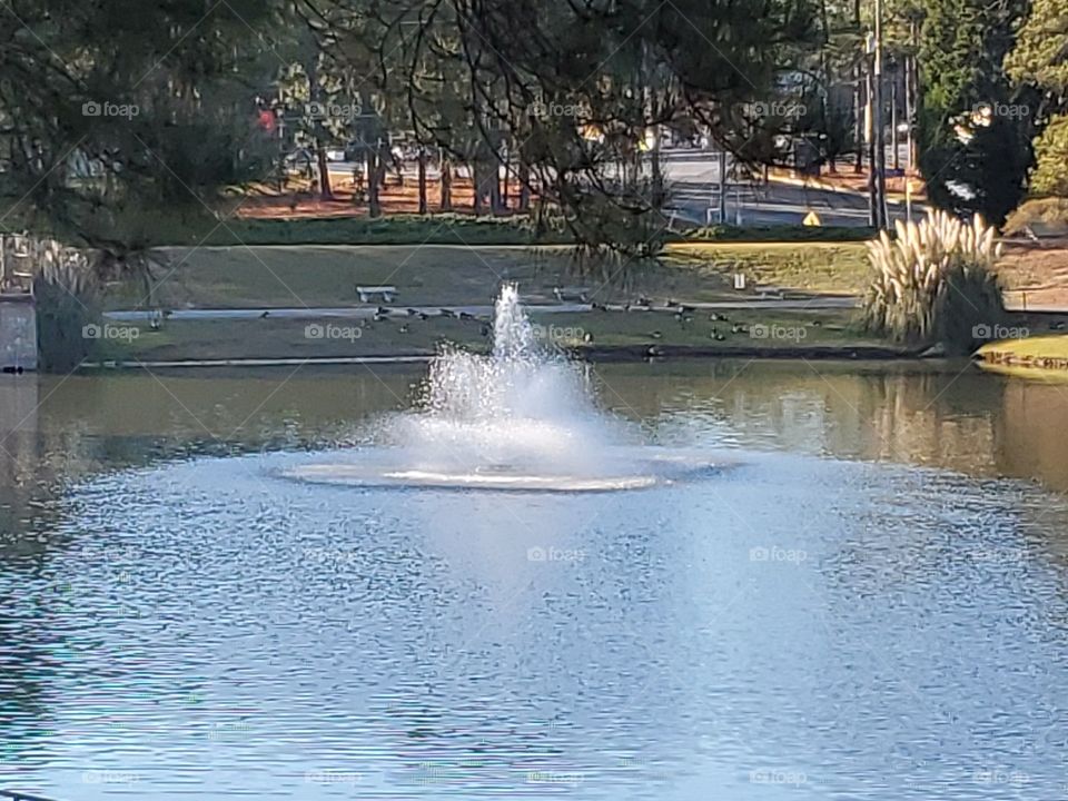 fountain in pond