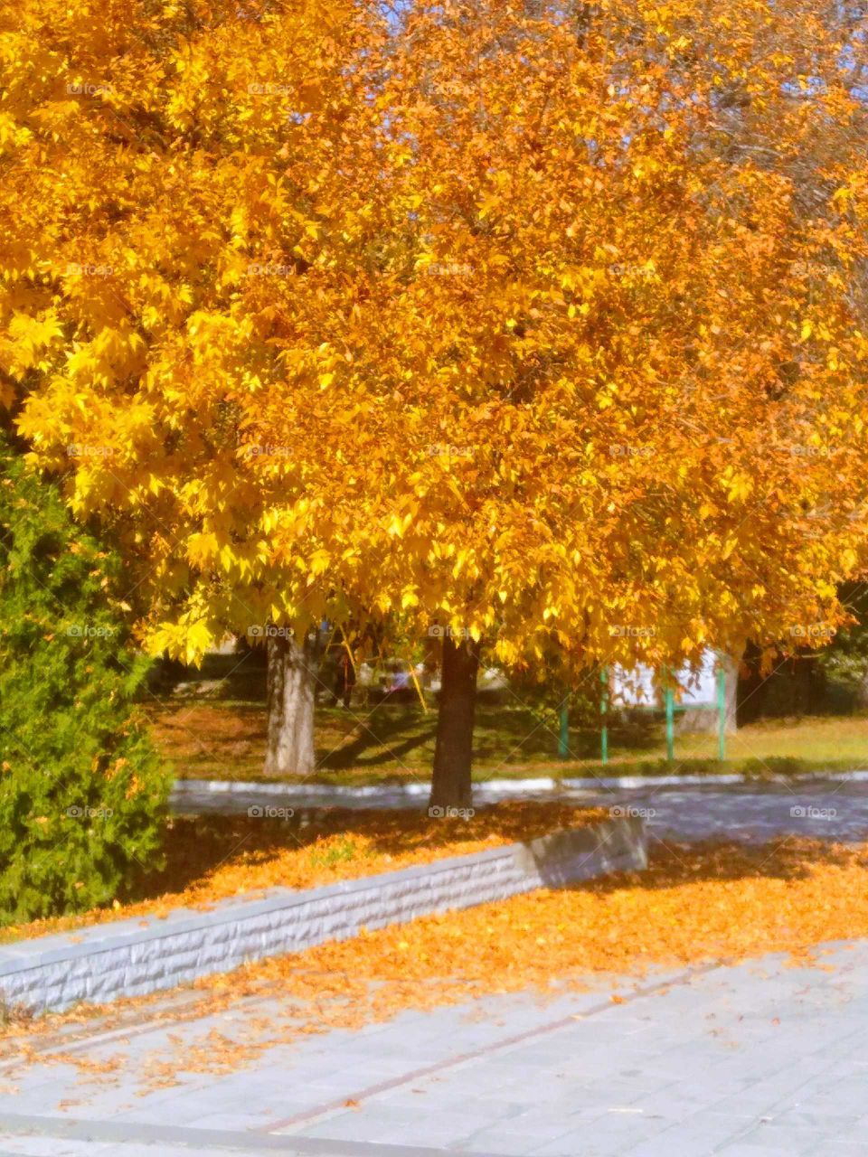 Autumn day in Vidin, Bulgaria