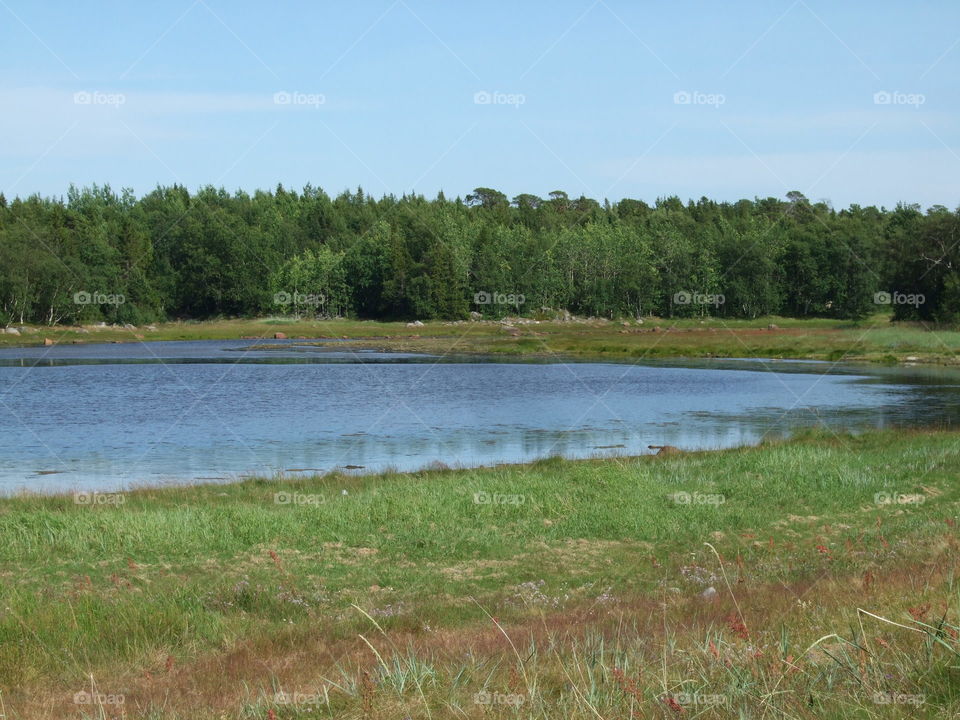 trip to Russia and Solovki-2011