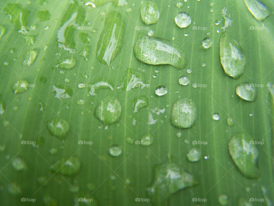 nature water clear weather by ashley77