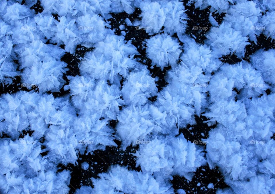 Ice flowers on the ice of the lake