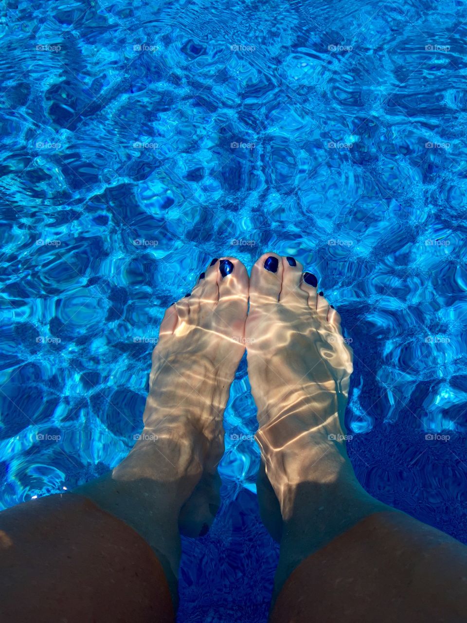In the pool keeping cool 
