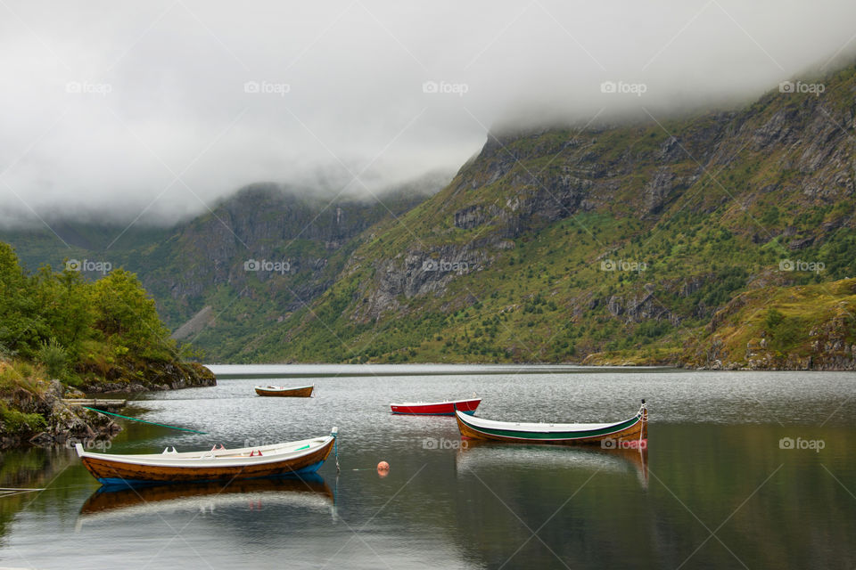 A foggy morning in the Lofotens