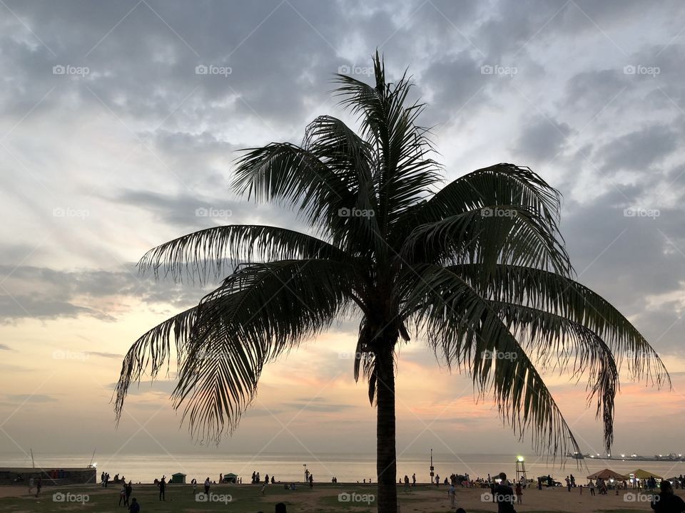 Sunset near the seashore in Colombo, Sri Lanka 