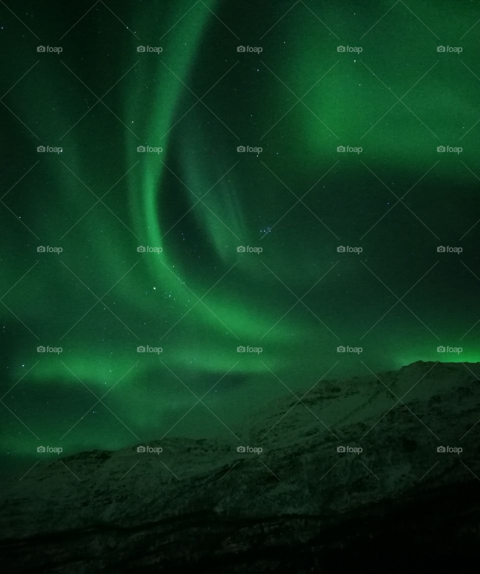aurora borealis, northern lights in tromsö