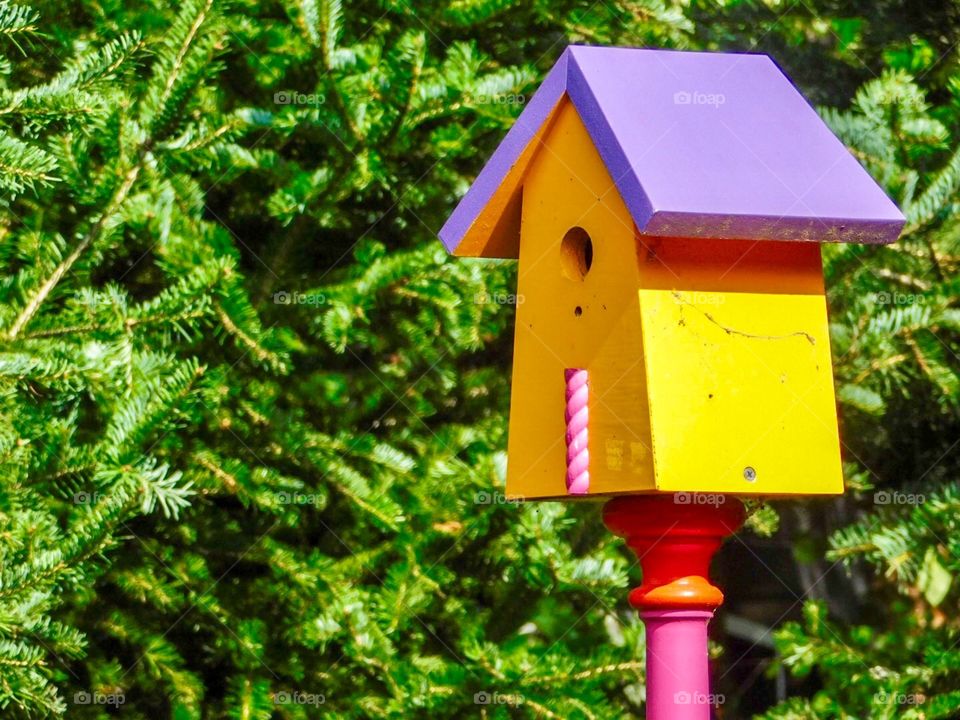Colorful birdhouse 