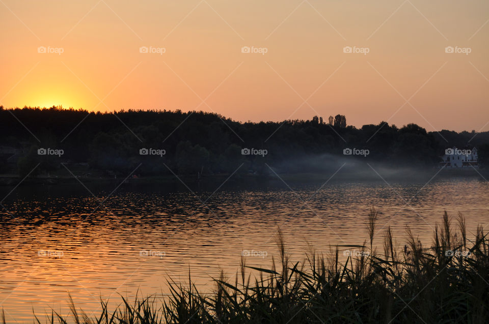 Silhouette of grass during sunset