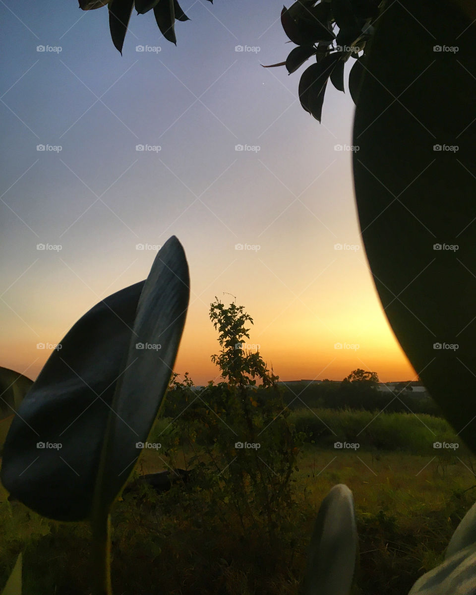 🌄🇺🇸 An extremely beautiful dawn in Jundiaí, interior of Brazil. Cheer the nature! / 🇧🇷 Um amanhecer extremamente bonito em Jundiaí, interior do Brasil. Viva a natureza!