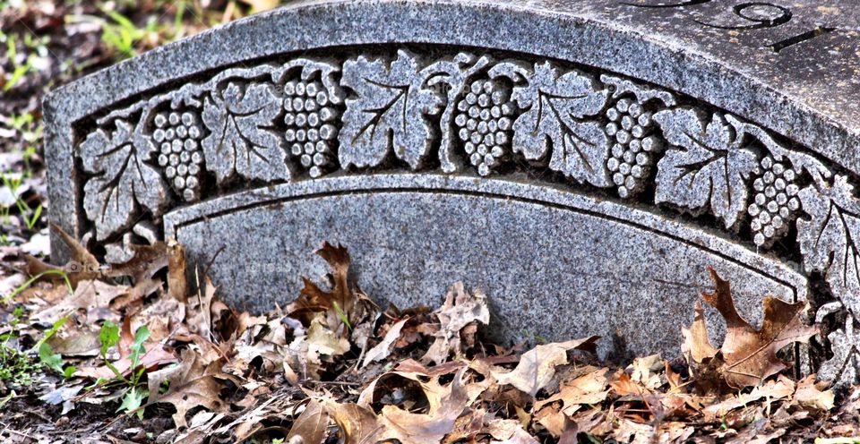 Engraved Leaves in Marble