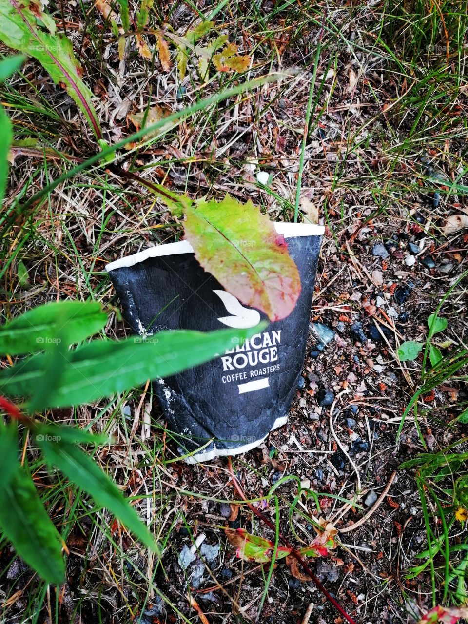 Garbage in Finnish nature. Yes, I collect when I first shoot. Don't trash!