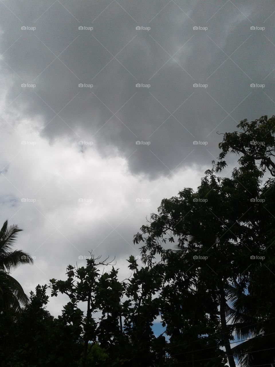 rain is to be.darken clouds on the sky.also white and blu sky hiding with it.
