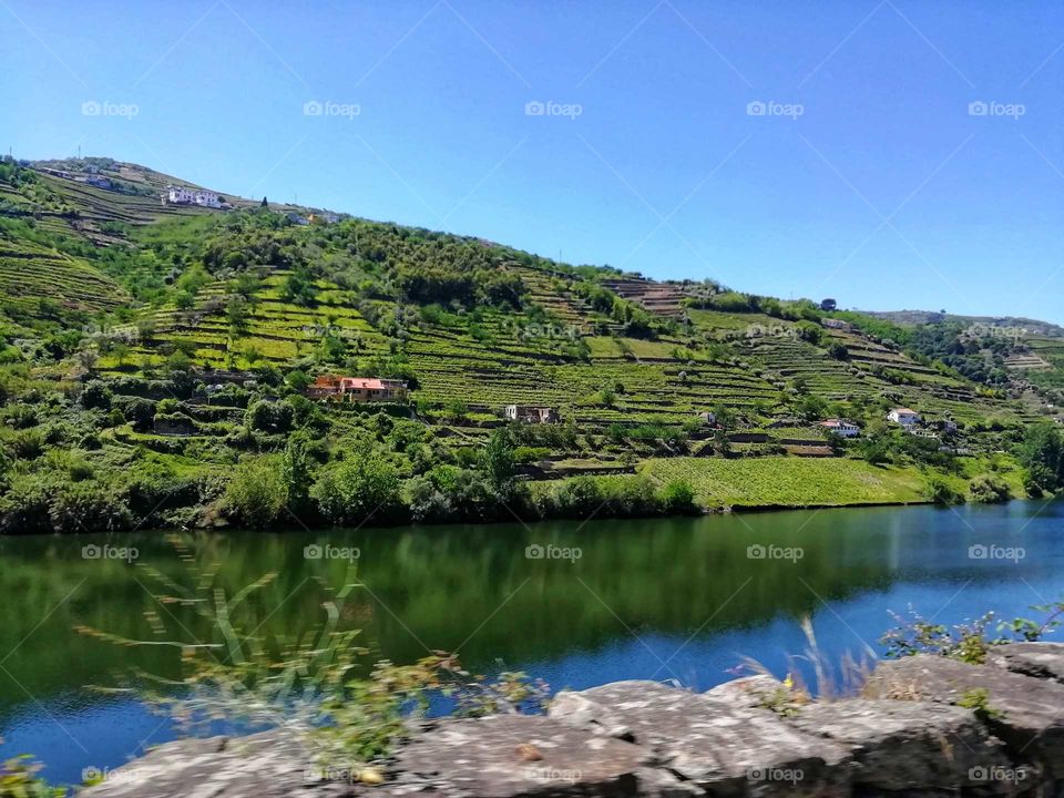 Douro Valley