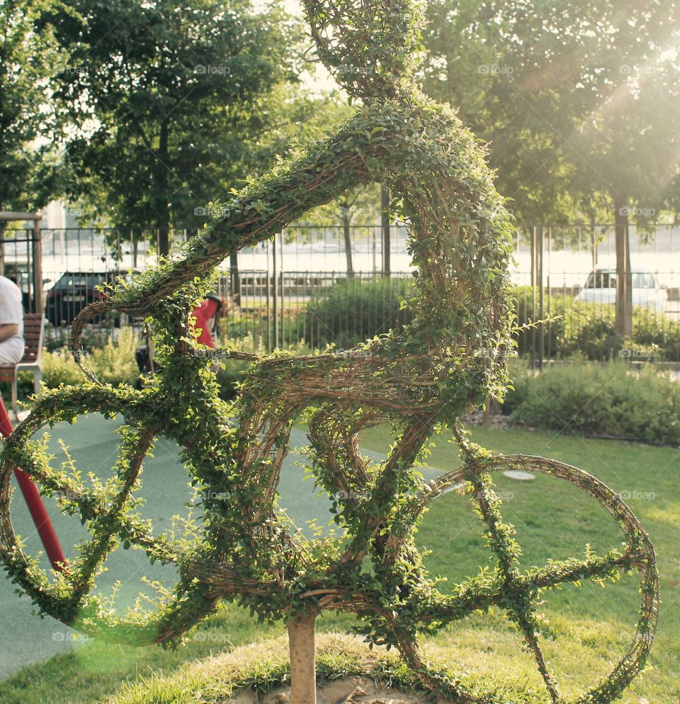 Wow! Nature is beautiful. Park in Budapest