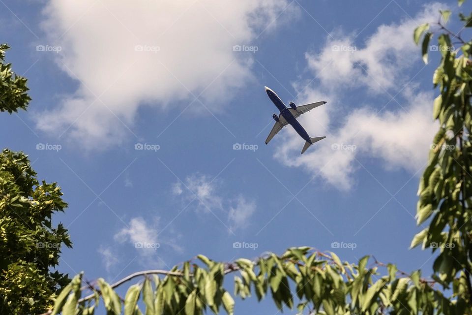 Airplane high in the sky